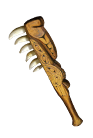 Weapon_set_weapon_hand_93.png