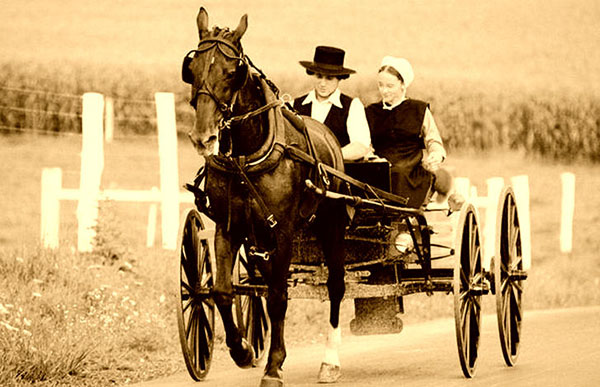 Файл:Amish people.jpg
