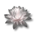Файл:Цветок лотоса.png