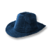 Файл:Синяя джинсовая шляпа.png