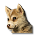 Файл:Щенок гренландской собаки.png