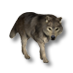 Файл:Wolf2.png