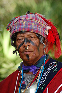 Файл:Seminole Indian.jpg