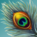 Файл:Peacock feather single.png