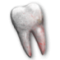 Выбитый зуб